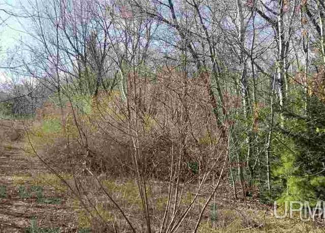Property at TBD1 Gorman Ave, Ontonagon, MI 49953