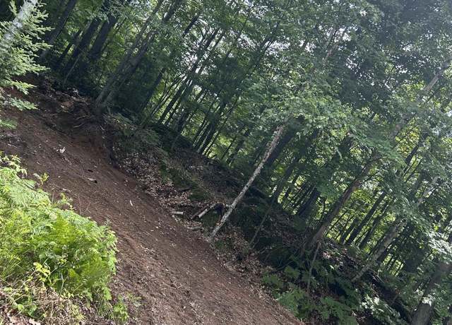 Property at TBD McClure Dam Rd, Negaunee, MI 49866