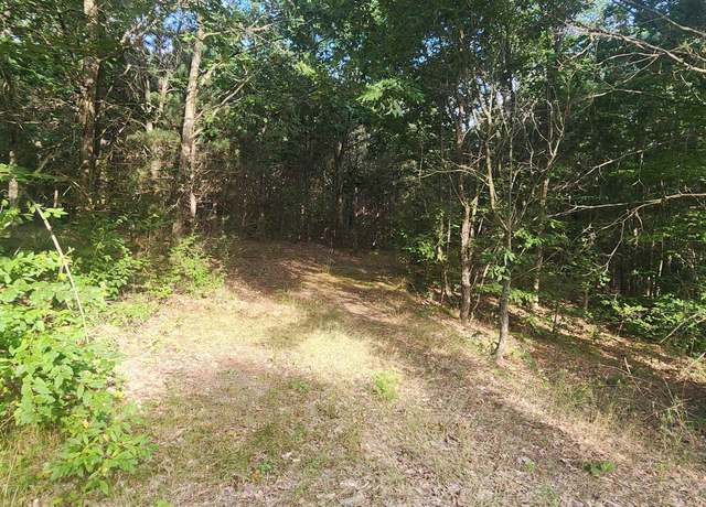 Property at 00 W Phelps Rd, Manton, MI 49663