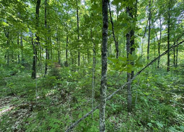 Property at 160 Acres Mead Logging Rd, Crystal Falls, MI 49920