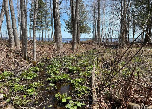 Property at Tbd N Lake Dr, Manistique, MI 49854
