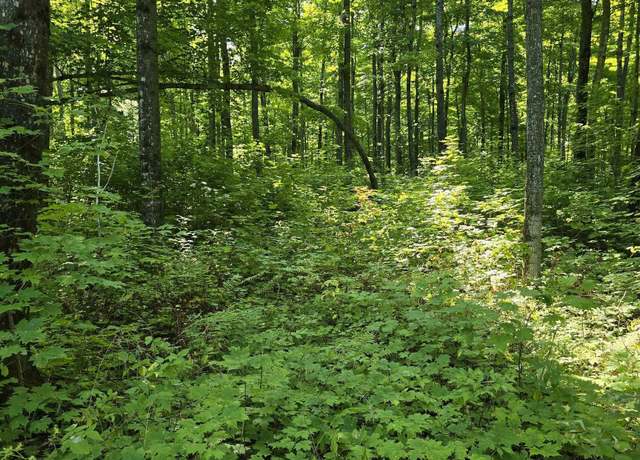 Property at Unit 12 Redridge Creek Rd, Atlantic Mine, MI 49905
