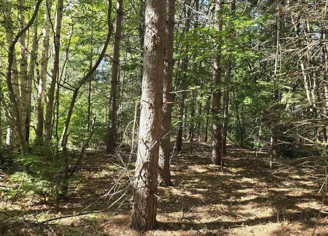Property at Unit 17 Liminga Rd, Atlantic Mine, MI 49905
