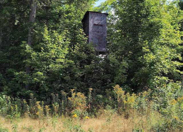 Property at 348 ac Black River Rd, Ironwood, MI 49938
