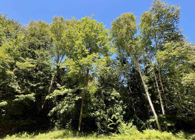 Property at 0 Concord Lot : 131-32, Oscoda, MI 48750
