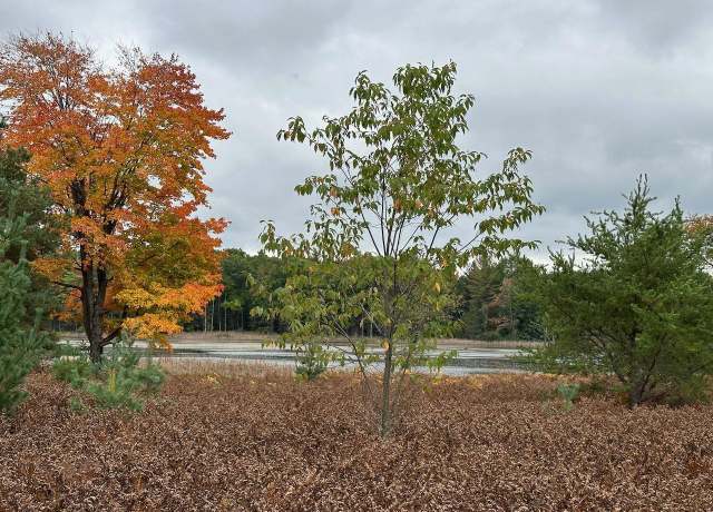 Property at 56 SE Blue Heron Dr Lot : 1, Kalkaska, MI 49646