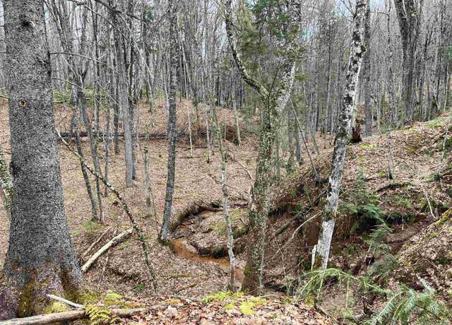 Property at 127 Light Blue Rd, Nisula, MI 49952