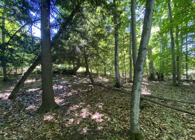 Property at Lot 9 S Club Dr Lot : 9, Cedar, MI 49621
