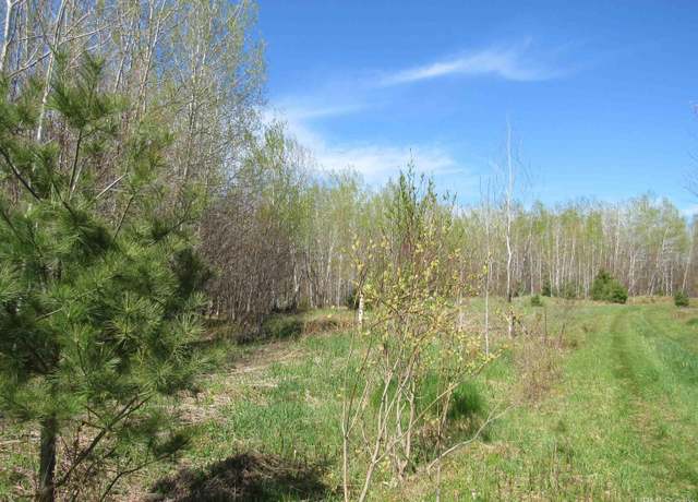 Property at TBD Off Rice Lake Rd Unit No Drive Bys, Lake Linden, MI 49945