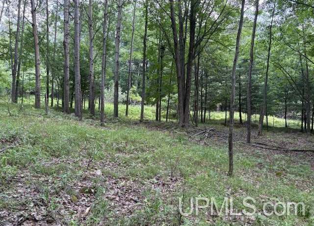 Property at TBD E H St, Iron Mountain, MI 49801