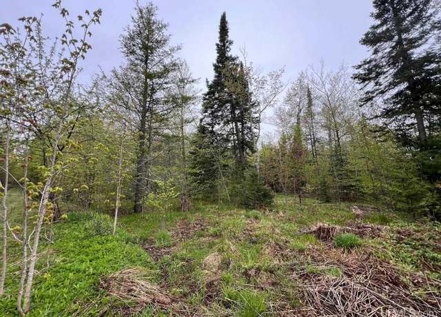 Property at TBD Harborview Unit 6 Dr, Munising, MI 49862