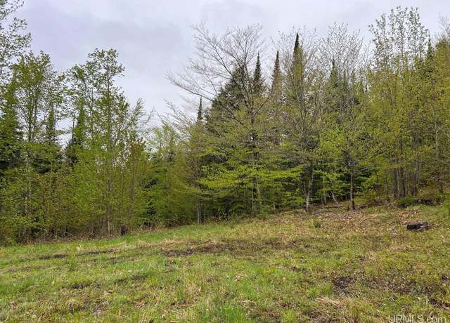 Property at TBD Harborview Lot 12 Dr, Munising, MI 49862
