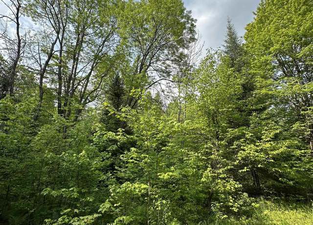 Property at 5563 Calderwood Rd, Trout Creek, MI 49967