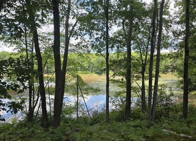 Property at Lot 300 Jaunita Indian Ln, Harrison, MI 48625