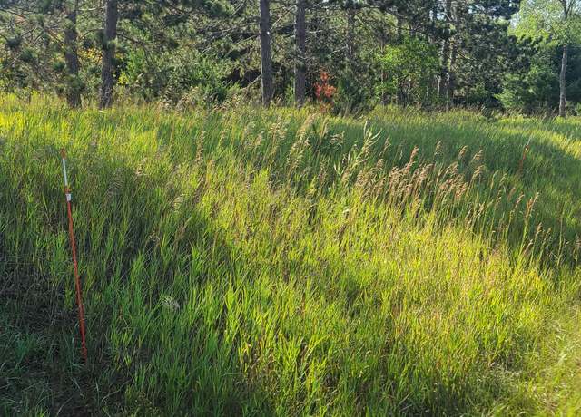 Property at 0002 M-66 SE, Fife Lake, MI 49633