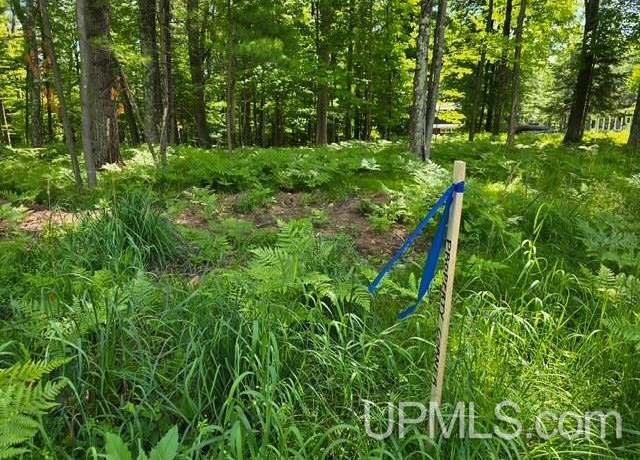 Property at TBD E Bar D Ranch Rd, Iron Mountain, MI 49801