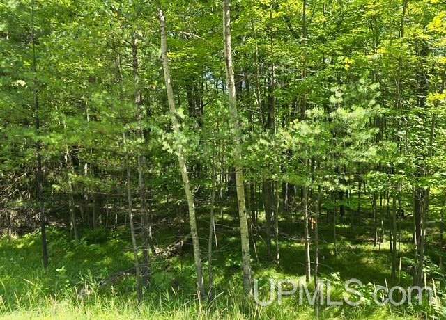 Property at TBD Quinnesec Lake Antoine Rd, Iron Mountain, MI 49801