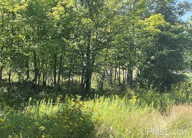 Property at 301 Garfield Ave, Marquette, MI 49855