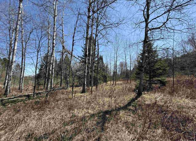 Property at 635 Power Plant Rd, Crystal Falls, MI 49920