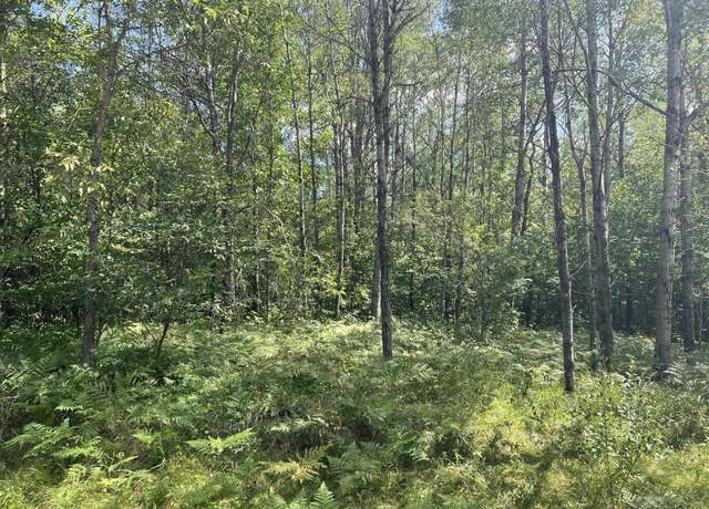 Property at 31 Birdie Cir Lot : 31, Grayling, MI 49738