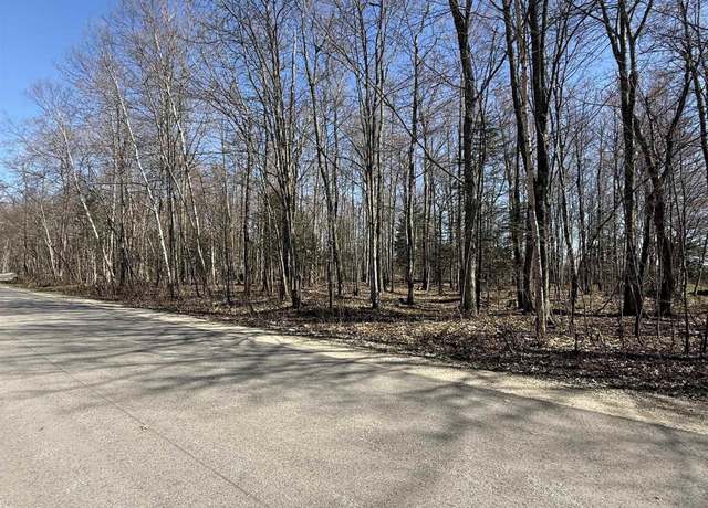 Property at 1.43 Acres Bolitho Dr, Manistique, MI 49854