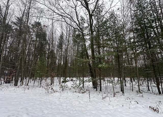Property at LOT 50 Bramblewood Dr, Haring Charter Township, MI 49601