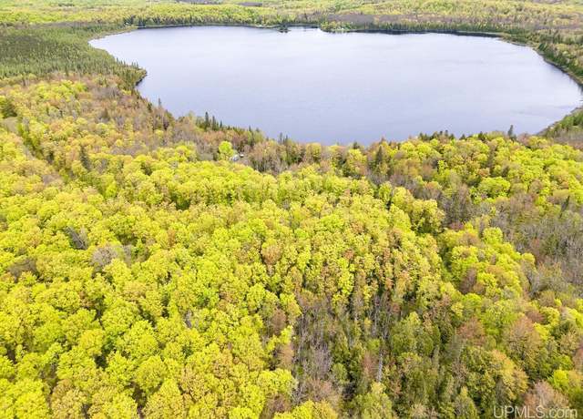 Property at On FR 8300 Rd, Marenisco, MI 49947
