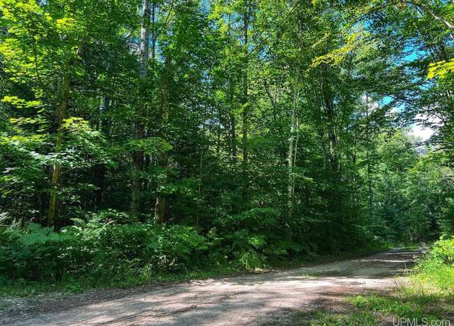 Property at TBD Hiawatha Trl, Manistique, MI 49854