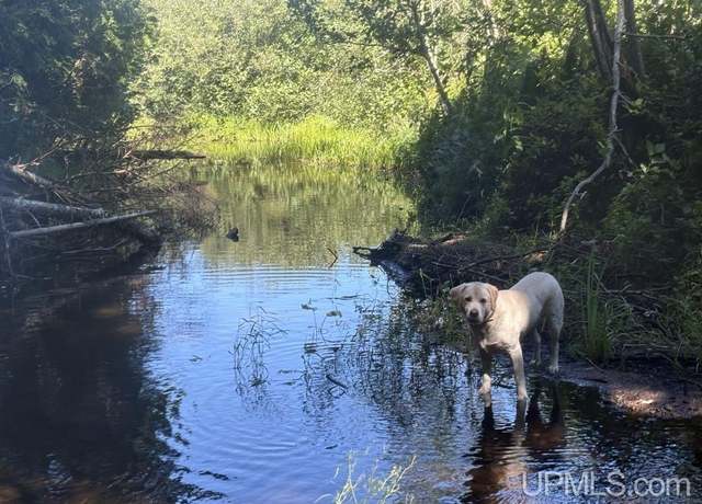 Property at 102 +/- Acres Peter White Rd, Deerton, MI 49822