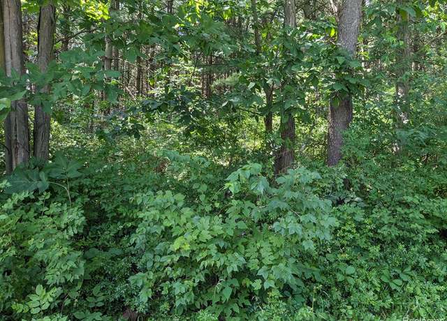 Property at Parcel F Bassett, Elba Twp, MI 48446