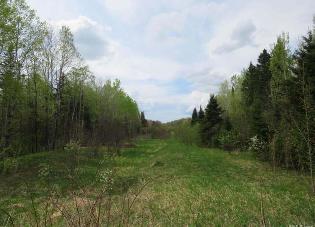 Property at TBD US 2 Hwy, Marenisco, MI 49947