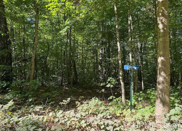 Property at 14691 N Crooked Lake Rd, Manistique, MI 49884