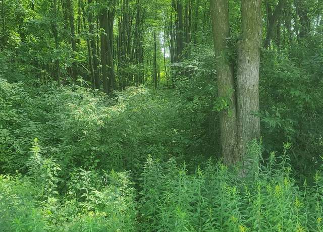 Property at 00 SHERIDAN Rd, Emmett, MI 48022