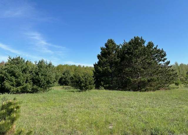 Property at 0 Parcel B Ambrose Rd, Mayville, MI 48744