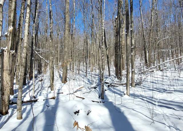 Property at TBD Oslund Rd, Bellaire, MI 49615