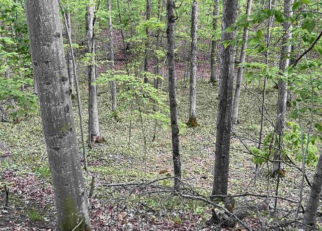 Property at 42.5 AC 42.5 Ac 9.5 Road Rd, Garden, MI 49835