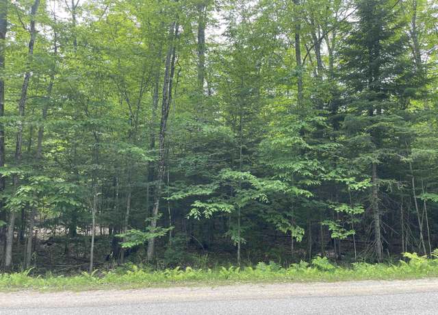 Property at Parcel "A" W Smith Lake Dr, Manistique, MI 49854