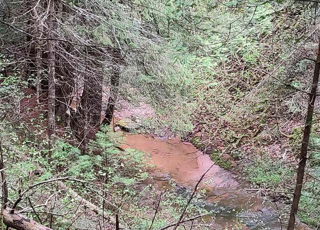 Property at TBD Victoria Dam Rd, Rockland, MI 49960