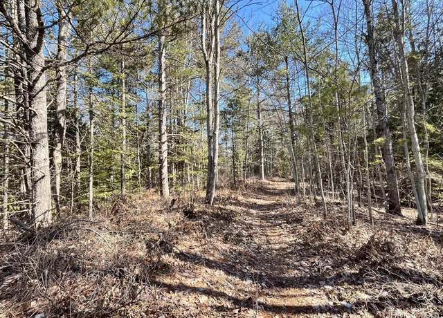 Property at TBD Tbd N 8th St, Manistique, MI 49854