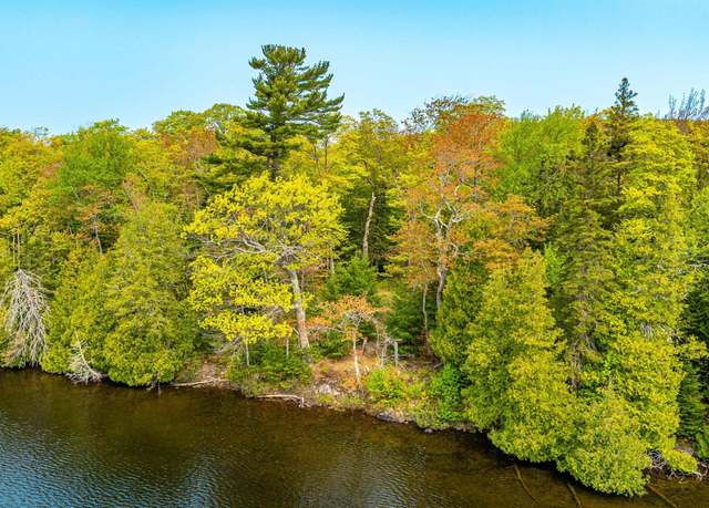 Property at TBD 4a and 4b Frimodig Rd, MI 49950