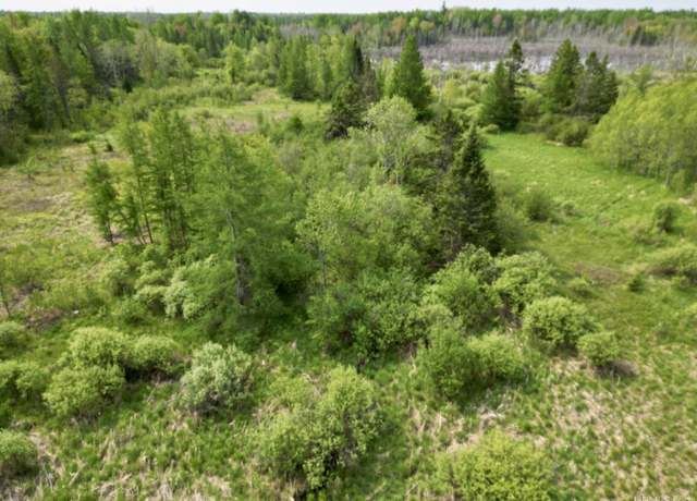 Property at TBD North 38TH RD "West 20" Rd, Rock, MI 49880