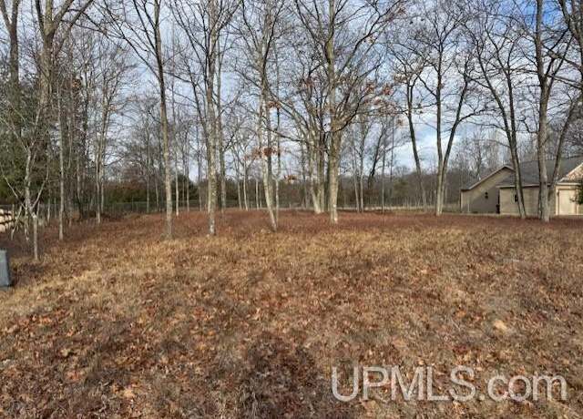 Property at TBD Tipperary Rd, Gladstone, MI 49837