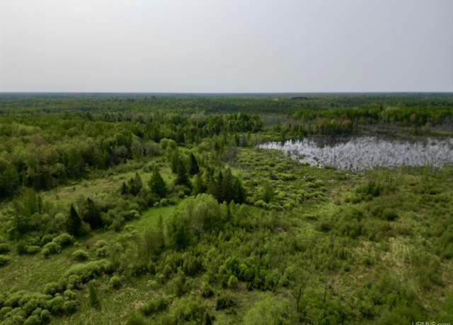 Property at TBD North Rock Road East 20 Rd, Rock, MI 49880