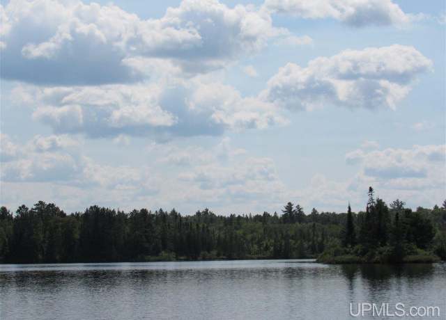 Property at TBD Off Berry Rd, Michigamme, MI 49861