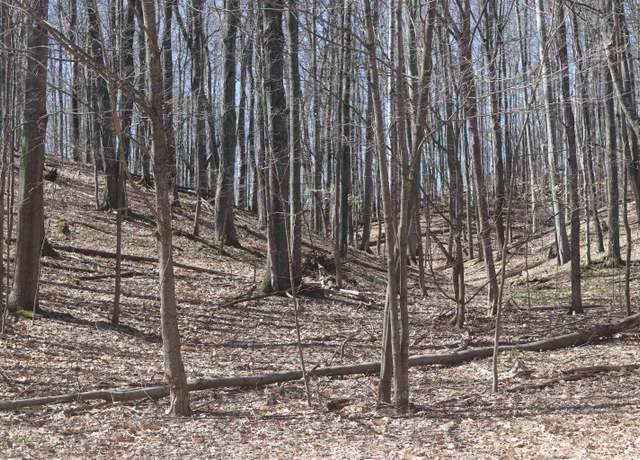 Property at lot 22 Crystal View Cmns Lot : 22, Beulah, MI 49617
