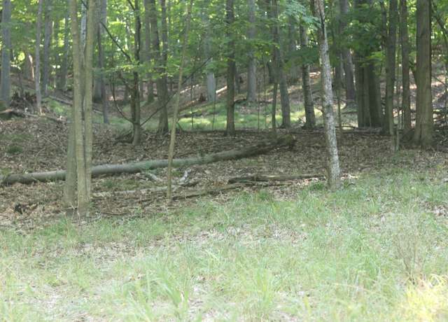 Property at lot 22 Crystal View Cmns Lot : 22, Beulah, MI 49617