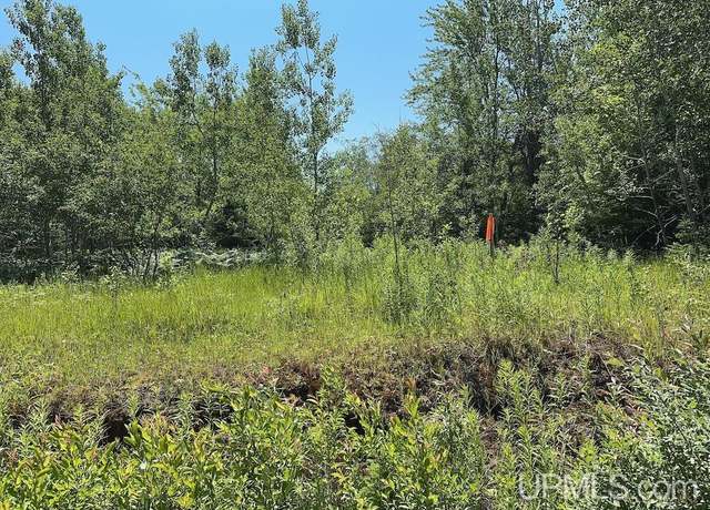 Property at Parcel A Webb Rd, Grand Marais, MI 49839
