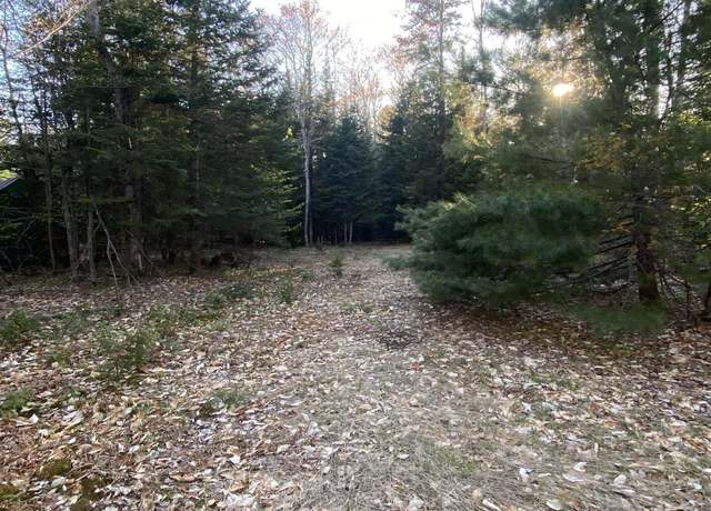 Property at TBD Ross Lake Rd, Shingleton, MI 49884