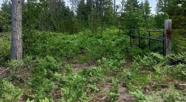 Photo of TBD Buckhaven Trl, Newberry, MI 49868