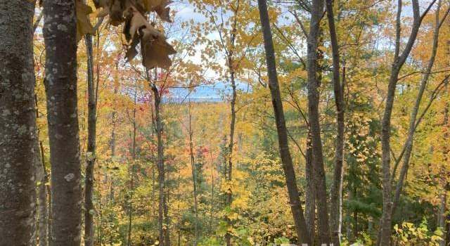 Photo of 40 Acres off CR 510 Rd, Big Bay, MI 49808